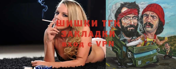 твердый Пересвет