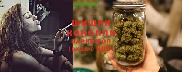 твердый Пересвет