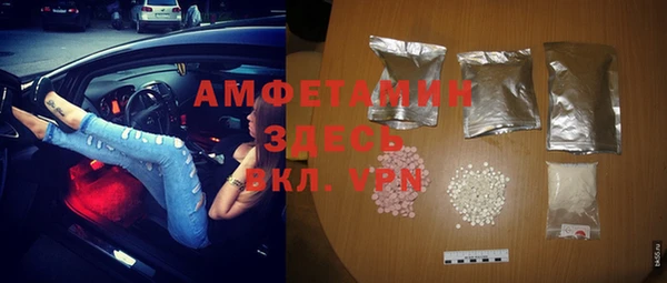 индика Болотное