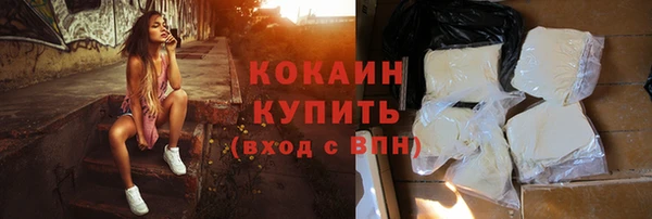 твердый Пересвет