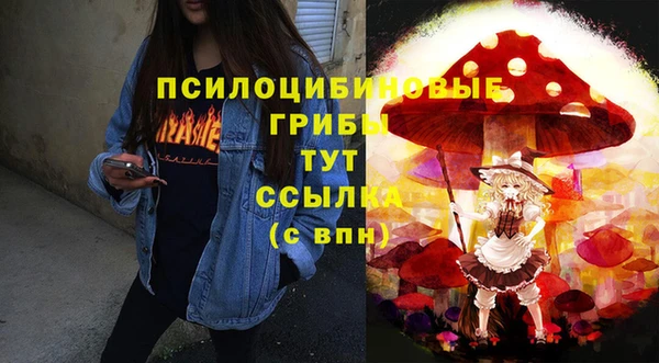 дурь Осташков